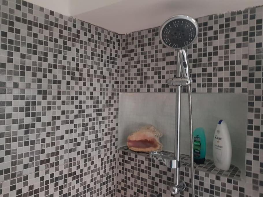 Minibyt Zdíkov Exteriér fotografie